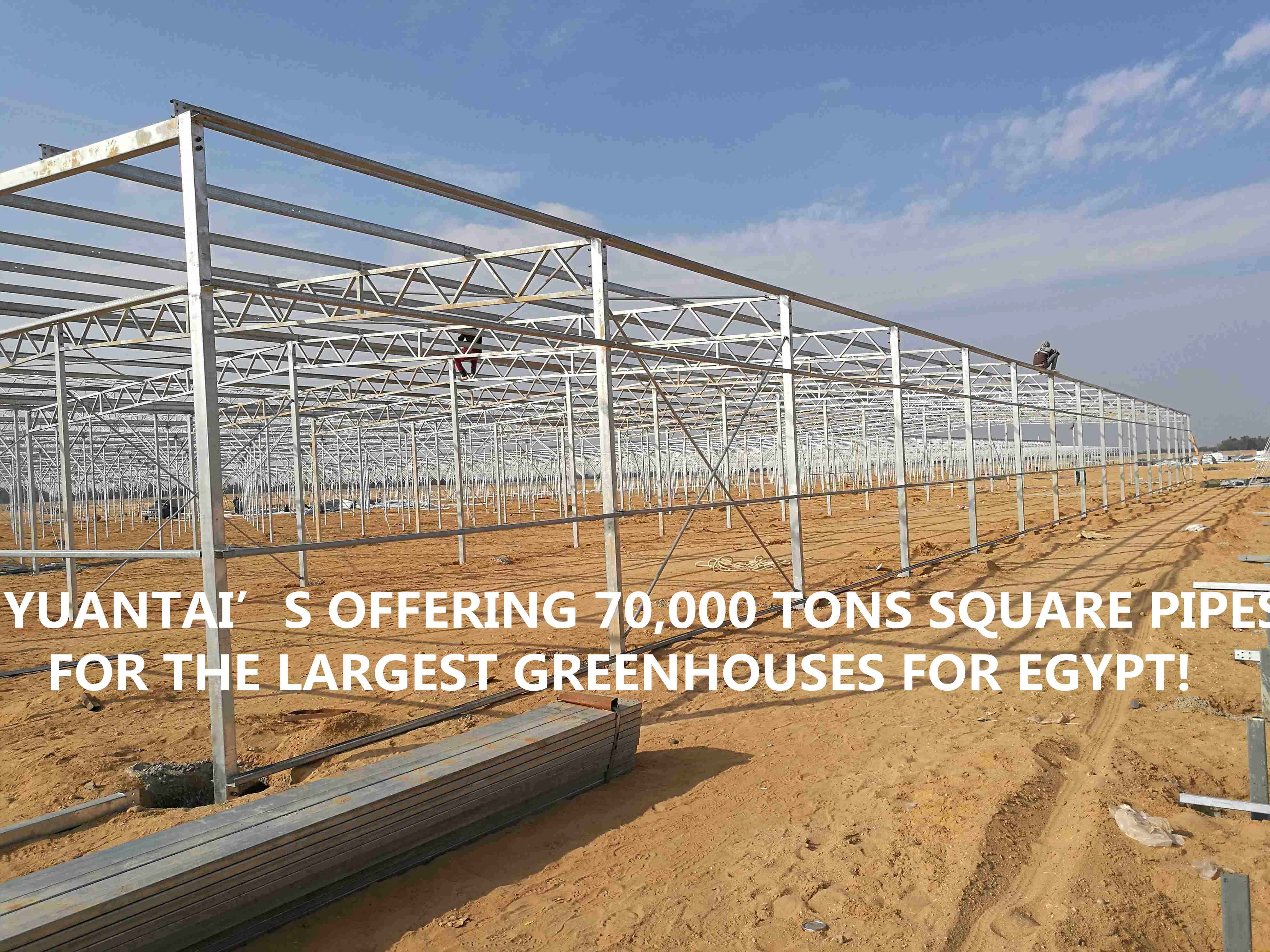 BIG NEWS!THE LARGEST GREENHOUSES PROJECT FOR EGYPT!