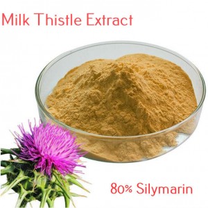 Wholesale Price China Favorable-Price Organic Milk Thistle Extract Silymarin 50% HPLC