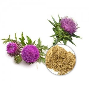 Quots for CAS 22888-70-6 Milk Thistle Seed Extract Powder 80% Silymarin