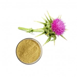 Quots for CAS 22888-70-6 Milk Thistle Seed Extract Powder 80% Silymarin
