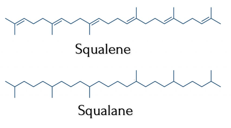 Harnessing the Power of Squalene : Antioxidants in Skin Care