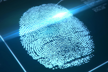 Fingerprint identification solution