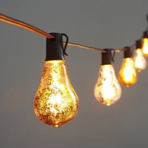 Edison Light LED String with Foil Silver Bulbs