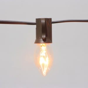 10 Count Decorative Ediosn Bulb String Light Outdoor for Patio