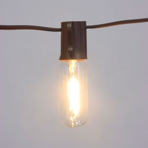 10 Count T30 Bulb Decorative Edison String Light