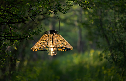 הדרכים הטובות ביותר לקשט את הבית והגינה שלך עם אורות חוטים דקורטיביים