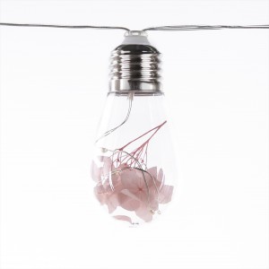 Wholesale Novelty Artificial Plant Decor Bulbs String Lights | ZHONGXIN