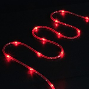 Wholesale Gauze Covered LED Rope Lights Custom LED Fairy Lights | ZHONGXIN