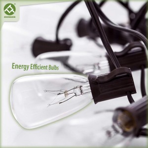 20 Count ST35 Bulb 110v Electric LED String Light