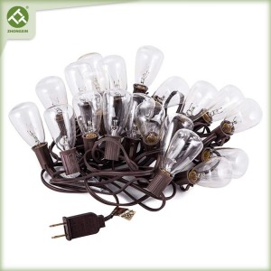 20 Count ST35 Bulb 110v Electric LED String Light