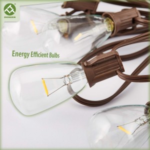 Wholesale String Lights Outdoor 10 Count ST38 Bulb String Light | ZHONGXIN