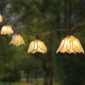 Wholesale White Floral Blooms String Lights Outdoor Lighting Manufacturer | ZHONGXIN