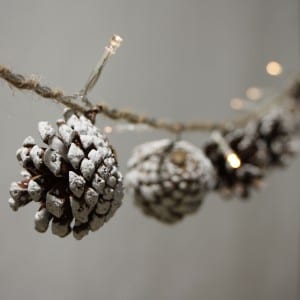 Natural Material Decorative String Light Outdoor with Pine Cones