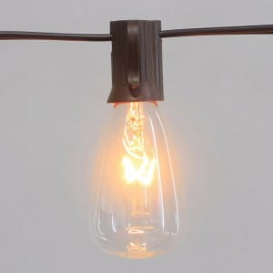 Incandescent Lights String Outdoor With Brown Wire Clear Bulb