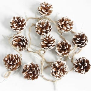 Natural Material Decorative String Light Outdoor with Pine Cones