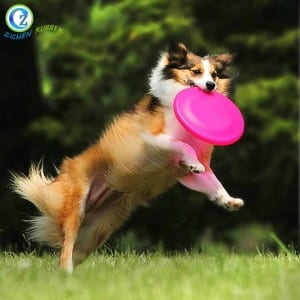 Hot Sale Custom Colorful Popular Silicone Rubber Pet Frisbee for Dog