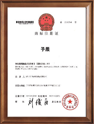 Certificato di registrazione del marchio