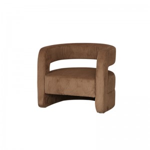 Modern Simple Versatile Leisure Light luxury Creative Bow Occasional Chair