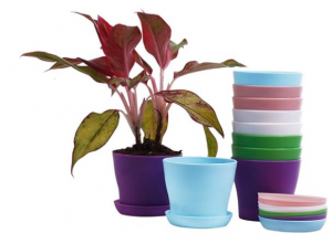 Plastic Flower Pots Are Durable and Lightweight
